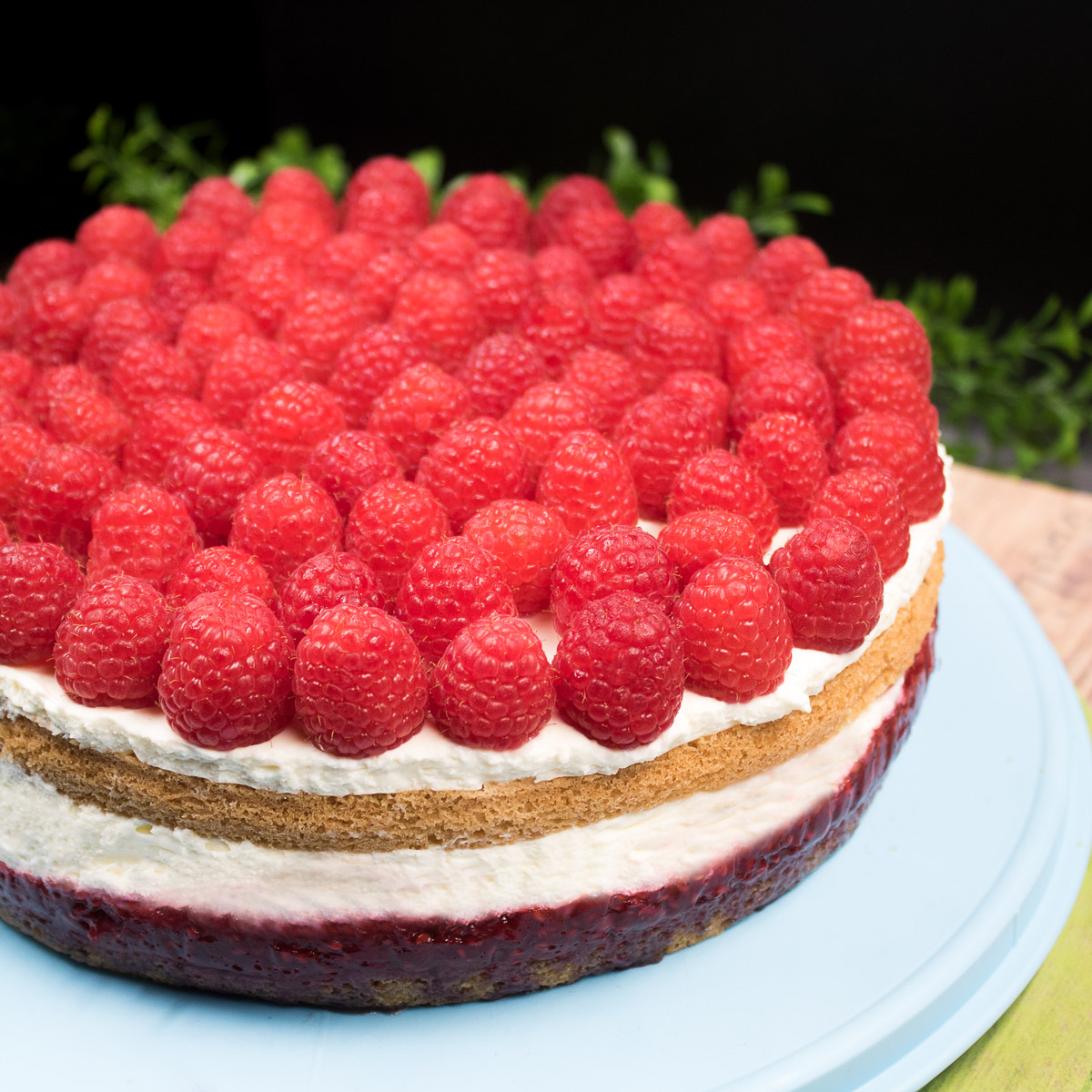 Low Carb Himbeer-Tiramisu-Torte die dich &amp; Gäste begeistert