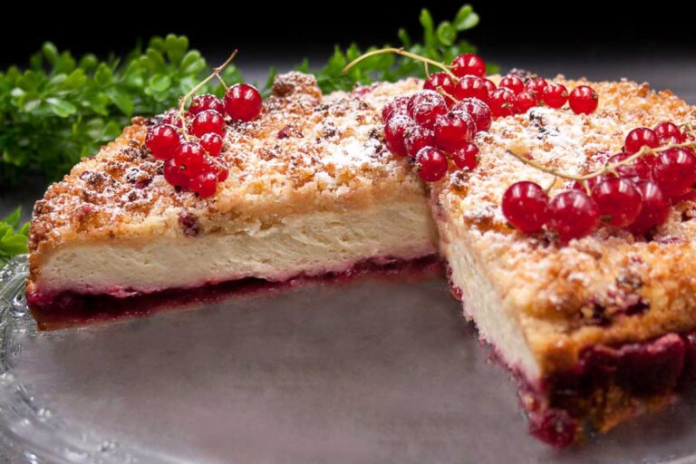 Der Johannisbeer-Quark-Kuchen ist ein leckerer Kuchen ohne Kohlenhydrate.