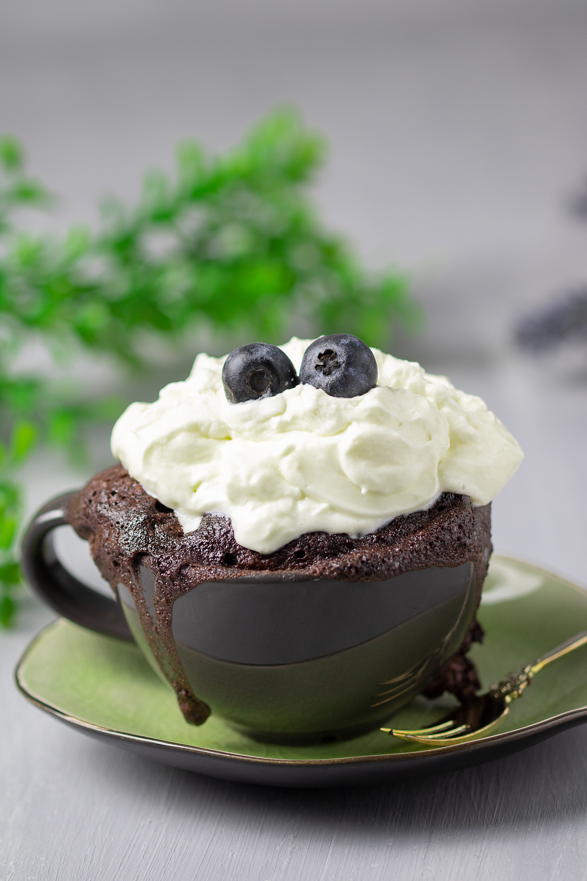 Mugcake