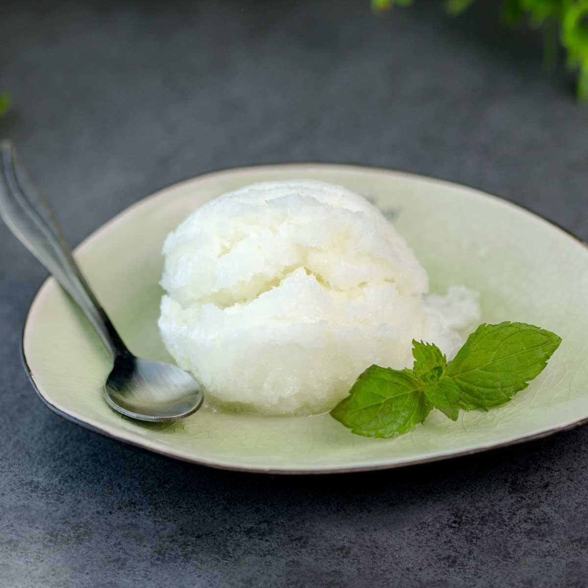 Das Zitronen-Sorbet ist Low Carb, zuckerfrei und glutenfrei. Das Rezept ist die perfekte Erfrischung im Sommer und funktioniert ohne Eismaschine