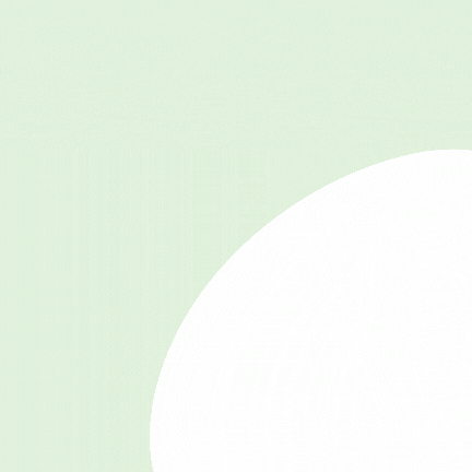 Buecher Banner Test