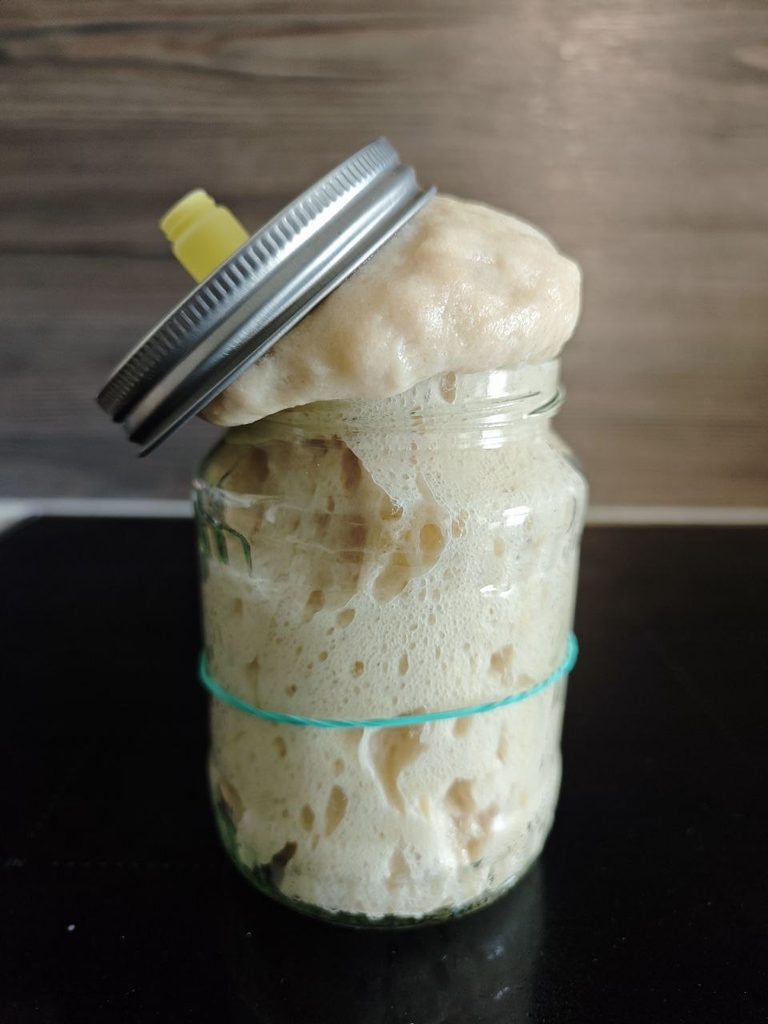 Low Carb Sauerteig Ansatz